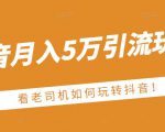 老古董·抖音月入5万引流玩法，看看老司机如何玩转抖音(附赠：抖音另类引流思路)-风淘社