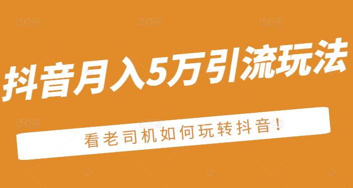 老古董·抖音月入5万引流玩法,看看老司机如何玩转抖音(附赠:抖音另类引流思路)-风淘社