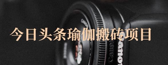 猎人社区·今日头条瑜伽搬砖项目,单号一天几十收入,可以批量操作!-风淘社