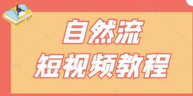 【瑶瑶短视频】自然流短视频教程,让你更快理解做自然流视频的精髓-风淘社