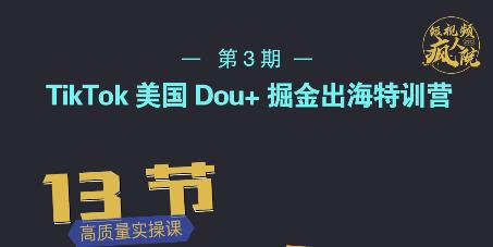 TikTok美国Dou+掘金出海特训营,美国dou+成功投放95%-风淘社