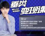 张sir·垂类变现课，抖音带货新手才看粉丝量，高手都看变现效率-风淘社