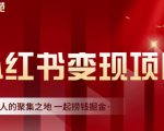 渣圈学苑·小红书虚拟资源变现项目,一起捞钱掘金价值1099元-风淘社