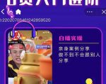 朱白板抖音带货进阶课,实操运营+主播不玩虚的-风淘社