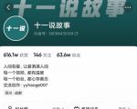十一说故事·故事性中视频，观众快速共鸣从而快速变现的中视频玩法-风淘社