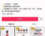 国潮壁纸变现项目,新手可操作日赚200+【素材+软件+教程】-风淘社