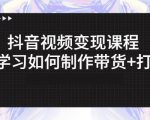 抖音短视频变现课程:带你学习如何制作带货+打造IP【41节】-风淘社