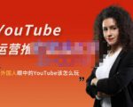 外国人眼中的YouTube该怎么玩?Elisa·YouTube运营推广实战技巧-风淘社