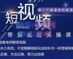 吴Sir·短视频带货底层实操课,教你如何选爆品、了解获短视频流量密码,正确起号-风淘社