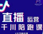 美尊-抖音直播运营千川系统课:直播运营规划、起号、主播培养、千川投放等-风淘社