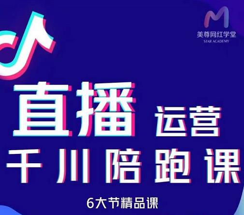 美尊-抖音直播运营千川系统课:直播运营规划、起号、主播培养、千川投放等-风淘社