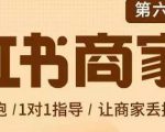 贾真-小红书商家营第6期商家版，21天带货陪跑课，让商家丢掉付流量-风淘社