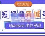 大东·短视频同城号教程，包括搭建思路，版面制作，文案内容，剪辑操作等-风淘社