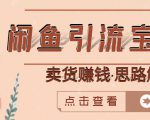 闲鱼引流宝妈粉+卖货赚钱一个月收益30000+(实操视频教程)-风淘社