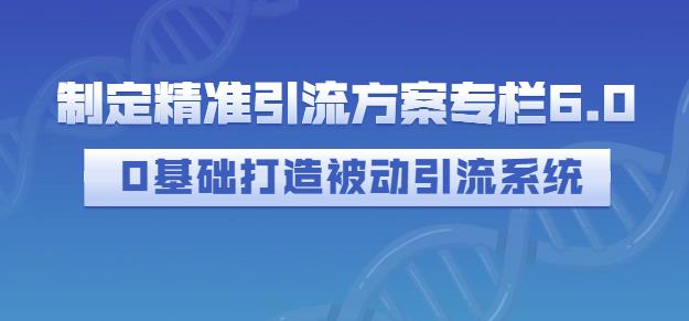 制定精准引流方案专栏6.0,0基础打造被动引流系统-风淘社