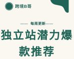 【跨境B哥】独立站潜力爆款选品推荐,测款出单率高达百分之80-风淘社
