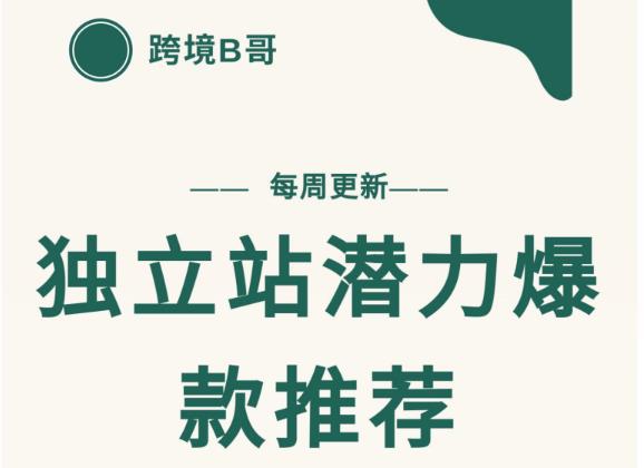 【跨境B哥】独立站潜力爆款选品推荐,测款出单率高达百分之80-风淘社