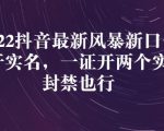 2022抖音最新风暴新口子：多开实名，一整开两个实名，封禁也行-风淘社