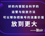 张sir账号流量增长课，告别海王流量，让你的流量更精准-风淘社