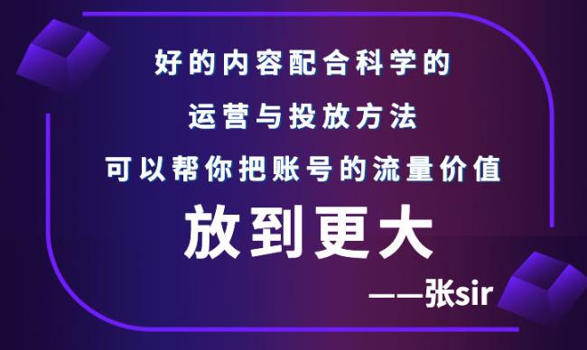 张sir账号流量增长课,告别海王流量,让你的流量更精准-风淘社