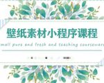 闪闪壁纸号运营教程，抓住图文风口，快速吸粉变现-风淘社