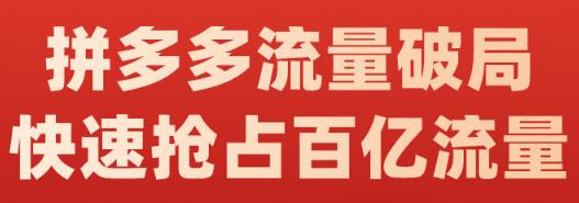 阿杰·拼多多流量破局:如何打黑标，爆款的思路，拼多多流量框架，快速抢占百亿流量-风淘社