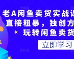 老A闲鱼卖货实战课,简单直接粗暴,独创方法带你玩转闲鱼卖货!-风淘社