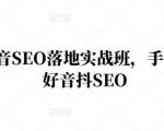 王通·抖音SEO落地实战班,手手带你做好音抖SEO-风淘社