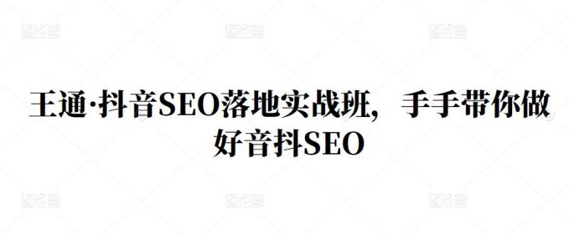 王通·抖音SEO落地实战班,手手带你做好音抖SEO-风淘社