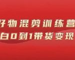 万三好物混剪训练营:小白0到1带货变现课-风淘社