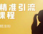 soul精准引流系列课程,每天引流100精准粉-风淘社