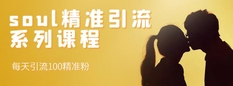 soul精准引流系列课程,每天引流100精准粉-风淘社