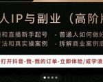 一舟一课个人IP与副业（高阶版），短视频和直播新手起号-普通人如何做好个人IP-风淘社