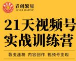 张萌21天视频号实战训练营,裂变涨粉、内容创作、视频号变现 价值298元-风淘社