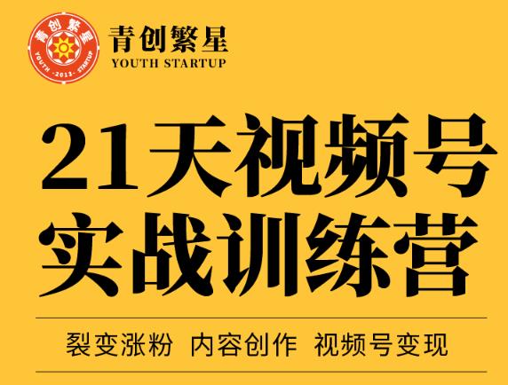 张萌21天视频号实战训练营,裂变涨粉、内容创作、视频号变现 价值298元-风淘社
