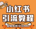 小红书运营引流全系列课程,每天引流100精准粉-风淘社