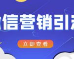 微信营销策划引流系列课程，每天引流100精准粉-风淘社