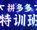 星雪教育·拼多多基础班+进阶班+突破班，用系统的学习模式快速改变现状价值3580元-风淘社