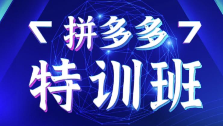 星雪教育·拼多多基础班+进阶班+突破班,用系统的学习模式快速改变现状价值3580元-风淘社