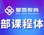 星雪教育淘系高级班，更全的运营提升方案，零基础由浅入深，店铺最新玩法-风淘社