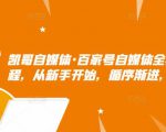 凯哥自媒体·百家号自媒体全套实战赚钱教程，从新手开始，循序渐进，系统的讲解-风淘社