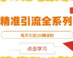闲鱼精准引流全系列课程,每天引流100精准粉【视频课程】-风淘社