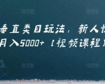 虚拟项目垂直类目玩法，新人快速起店，月入5000+【视频课程】-风淘社