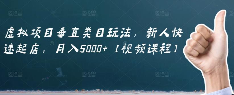 虚拟项目垂直类目玩法，新人快速起店，月入5000+【视频课程】-风淘社