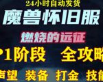 最新美服-怀旧服魔兽搬砖攻略，练级声望装备打金副本技能赚钱攻略-风淘社