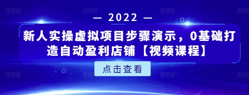新人实操虚拟项目步骤演示,0基础打造自动盈利店铺【视频课程】-风淘社