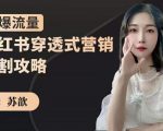 苏歆：小红书穿透式营销收割攻略，引爆流量，助你玩转小红书-风淘社