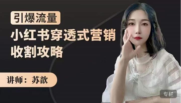 苏歆:小红书穿透式营销收割攻略,引爆流量,助你玩转小红书-风淘社