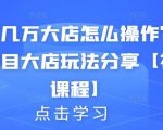 月入几万大店怎么操作?虚拟项目大店玩法分享【视频课程】-风淘社
