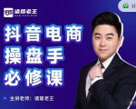 诸葛老王-抖音电商操盘手必修课:顶层设计,起号破局,爆款运营,数据分析-风淘社